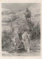 Der Aufstand des verrückten Mullahs in Somaliland